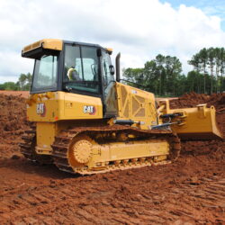 petit bulldozer cat