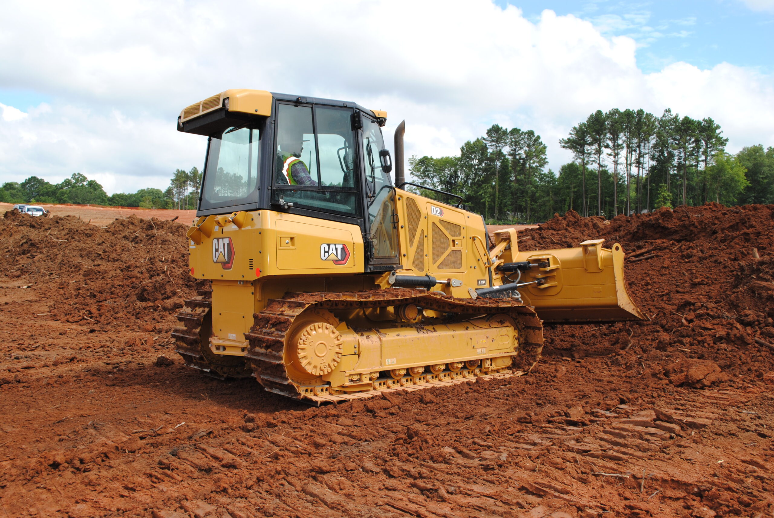 petit bulldozer cat